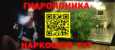 индика Ликино-Дулёво